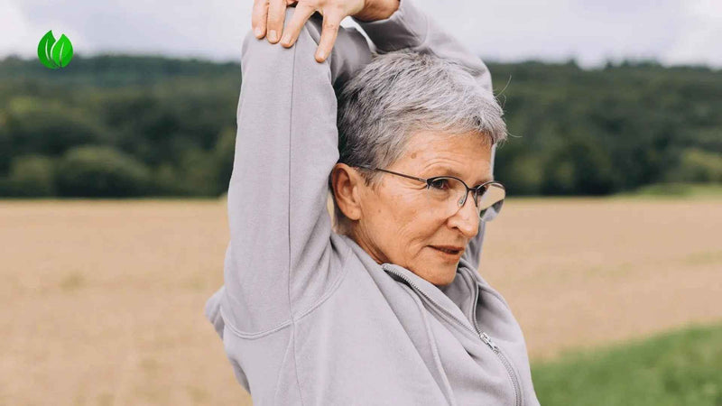 10 Hábitos Diários para Prevenir Dores nas Costas - Vida Eficaz